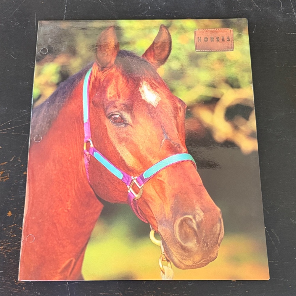 Vintage 90s Horses Folder for work, office, school, organization
